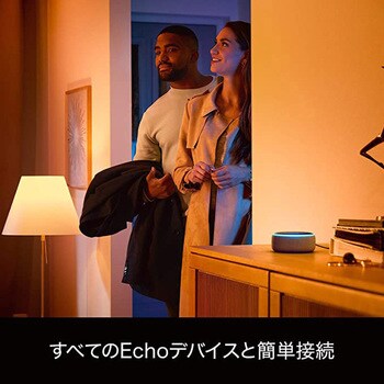 PLH47GS Philips Hue ホワイトグラデーション E17 1個 フィリップス