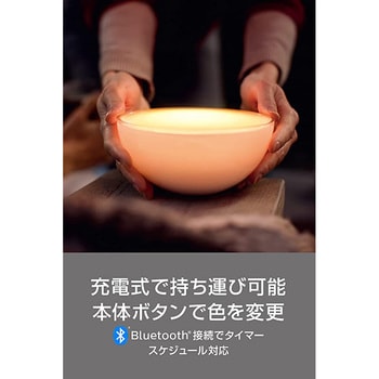 PLH34HG Philips Hue Go ポータブルライト 1個 フィリップス 【通販