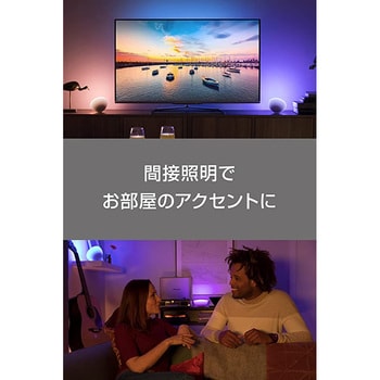 PLH34HG Philips Hue Go ポータブルライト 1個 フィリップス 【通販