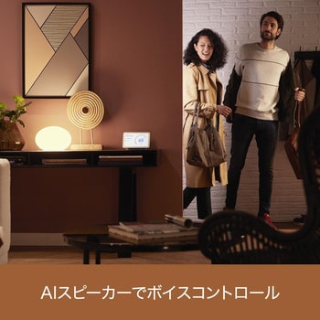 PLH29WG Philips Hue ホワイトグラデーション E26 75W フィリップス