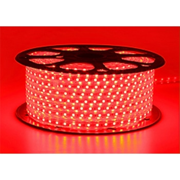LED色付ベルトライト スズデン販売