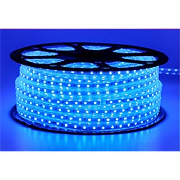 LED色付ベルトライト スズデン販売