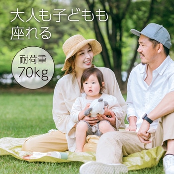 折りたたみ式 レジャーチェア アーテック