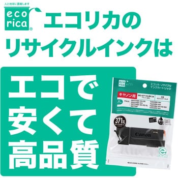 ECI-C320B2P リサイクルインク Canon対応 BCI-320PGBK2P エコリカ