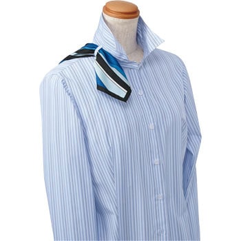 enjoy EWB-598 Smart Stripe 長袖シャツブラウス カーシーカシマ