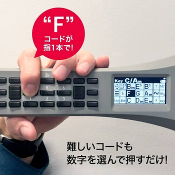 aiwa play RX01 powered by InstaChord JA2-NSCRX01 aiwa(アイワ)