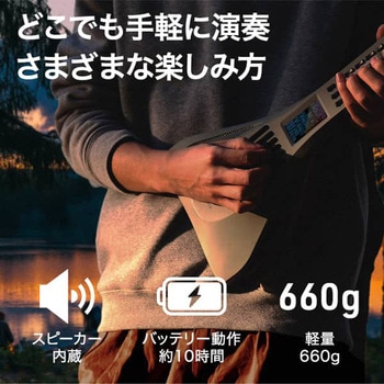 aiwa play RX01 powered by InstaChord JA2-NSCRX01 aiwa(アイワ)