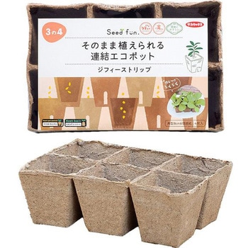 ジフィーストリップ  そのまま植えられる連結エコポット サカタのタネ