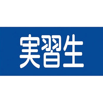 GW-12M sXSr {Ώ\ Soh 27099232