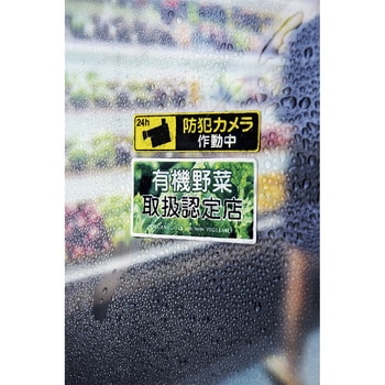 LBP-WS6900 カラーLBP&PPC用超耐水紙ラベル 1冊(15枚) コクヨ 【通販