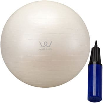エクササイズボール 65cm エアポンプ付き アルインコ エクササイズ用品 通販モノタロウ Exg025