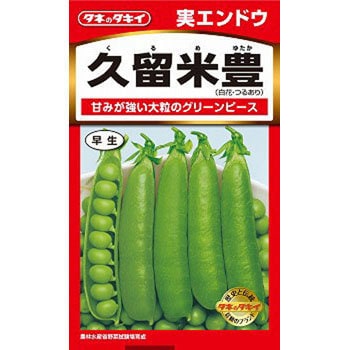 タネ えんどう 久留米豊 タキイ種苗 野菜の種 通年 通販モノタロウ Aen132