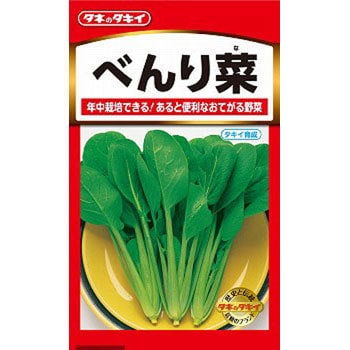 タネ べんり菜 タキイ種苗 野菜の種 通年 通販モノタロウ Atu148