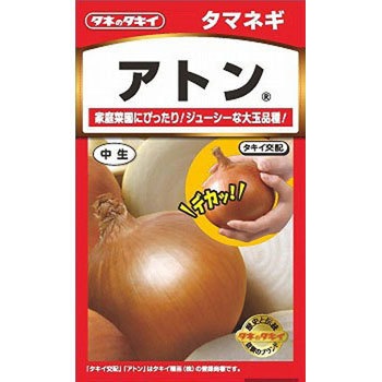 【タネ】たまねぎ アトン タキイ種苗