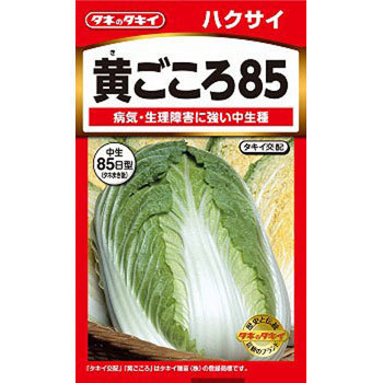 AHA014 【タネ】はくさい 黄ごころ85 1袋(0.5mL×5袋) タキイ種苗