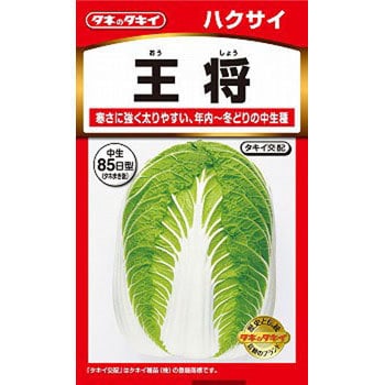 タネ はくさい 王将 タキイ種苗 野菜の種 秋まき 通販モノタロウ Aha078