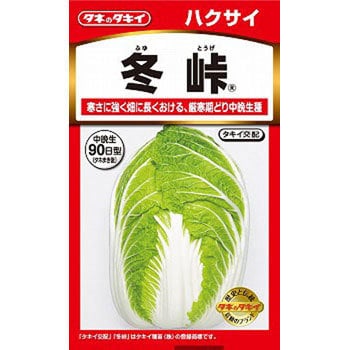 タネ はくさい 冬峠 タキイ種苗 野菜の種 秋まき 通販モノタロウ Aha045