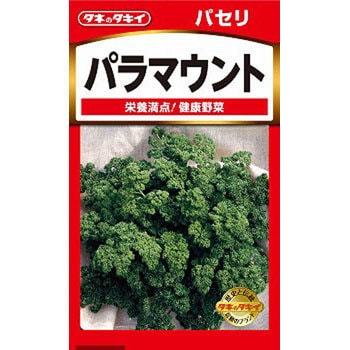 【タネ】パセリ パラマウント タキイ種苗