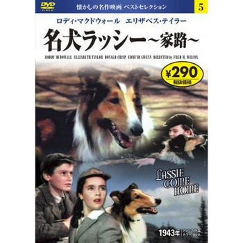 05)DVD 名犬ラッシー ～家路～ 永岡書店