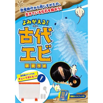 よみがえる! 古代エビ研究ラボ 永岡書店