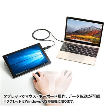 ドラッグ&ドロップ対応Type-Cリンクケーブル サンワサプライ