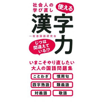 社会人の学び直し 使える漢字力 永岡書店