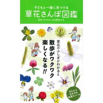 子どもと一緒に見つける 草花さんぽ図鑑 永岡書店