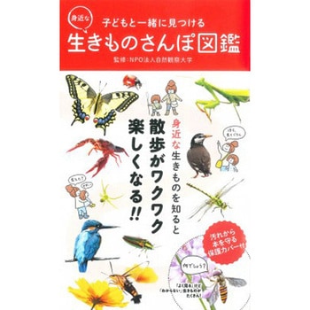子どもと一緒に見つける 身近な生きものさんぽ図鑑 永岡書店
