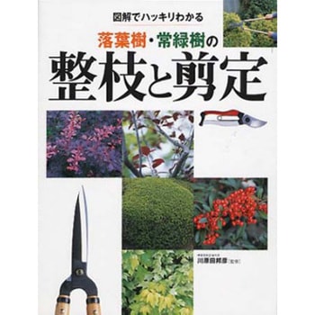 図解でハッキリわかる 落葉樹・常緑樹の整枝と剪定 永岡書店