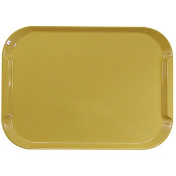 - �l�I�v���g���[ NS EBM(�]��������) 27794078