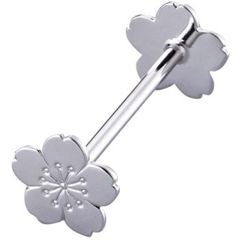 - 18-8 �i�C�t���X�g(�X�Y���b�L) EBM(�]��������) 27818605