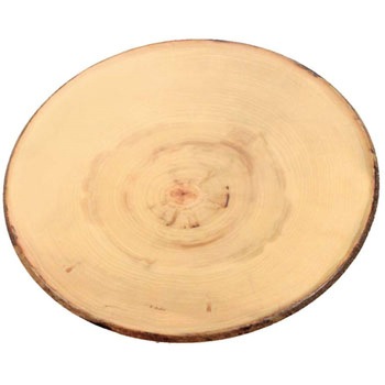 84267 �����~�� �L���J�u�v���[�g EBM(�]��������) 27833409