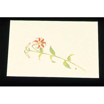 WSS-14 ڎO ΂܂ N[ EBM(]) 27856895