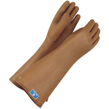 #65 �z�[�P�� �S���H�� EBM(�]��������) 27874989