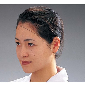 ヘアーネット EBM