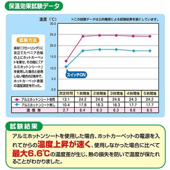 防ダニアルミホットンシート 2畳用 ワイズ
