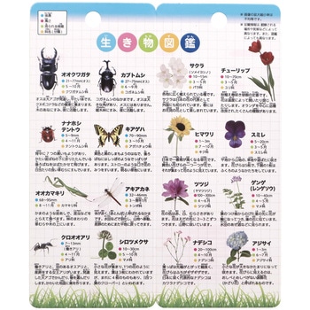 学童むしめがね クツワ
