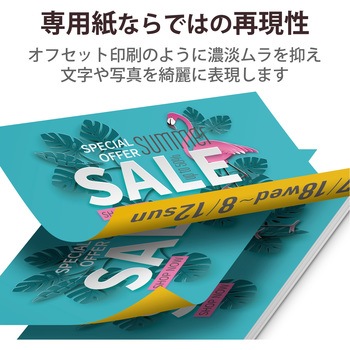 レーザープリンター用紙 マット紙 両面印刷 エレコム