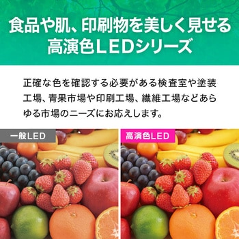 高演色形高天井LED 300形相当 エコリカ