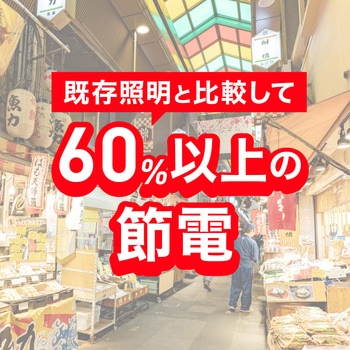 高演色形高天井LED 300形相当 エコリカ
