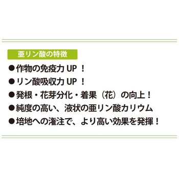 国産 亜リン酸カリ液 ラサ晃栄