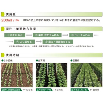 KI-1 花卉専用液体肥料 イノチオアグリ株式会社
