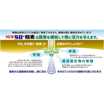NEW SB酸素 イノチオアグリ株式会社