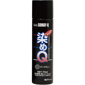 染めQ エアゾール 染めQ(旧テロソン)