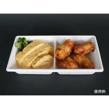 SDキャセロ 身 中央化学