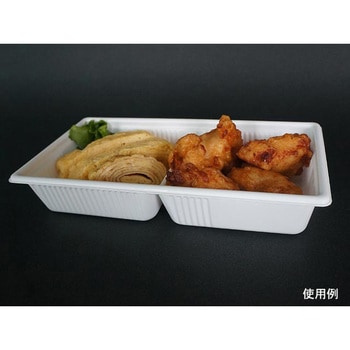 SDキャセロ 身 中央化学