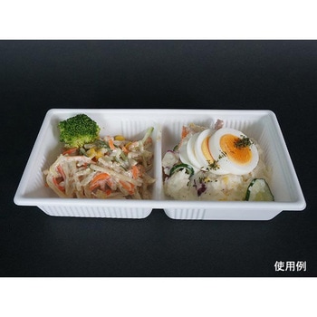 SDキャセロ 身 中央化学