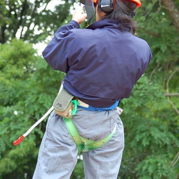 林業用安全帯落ちてたまるかライト 六甲山