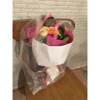 持ち手付きレジ袋 ハウスホールドジャパン
