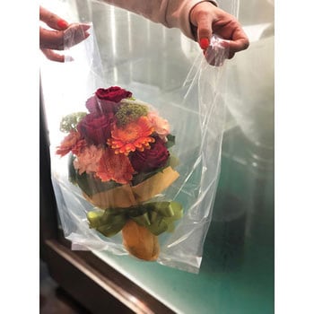 持ち手付きレジ袋 ハウスホールドジャパン